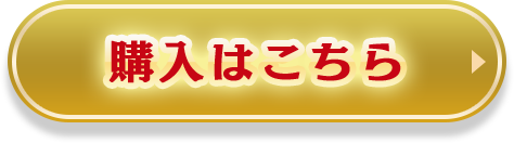 購入はこちら