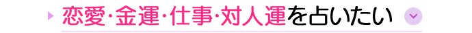 恋愛・金運・仕事・対人運を占いたい
