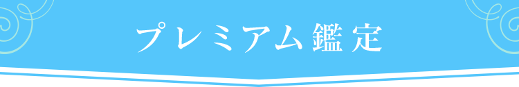 プレミアム鑑定