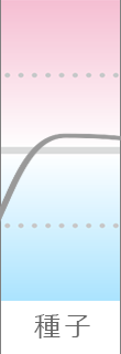 年運気グラフ