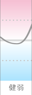 年運気グラフ