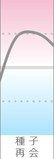 年運気グラフ