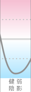 年運気グラフ