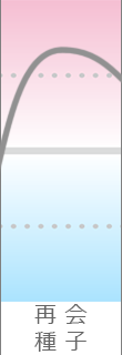 年運気グラフ