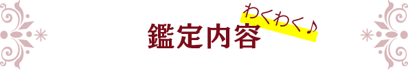 鑑定内容